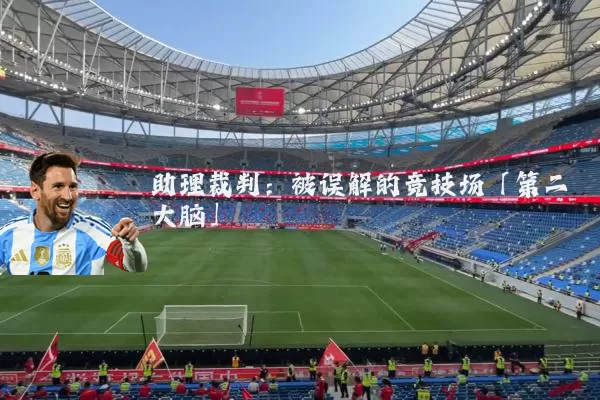 助理裁判:被误解的竞技场「第二大脑」